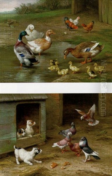 Chickens, Ducks And Ducklings Paddling Oil Painting by Edgar Hunt