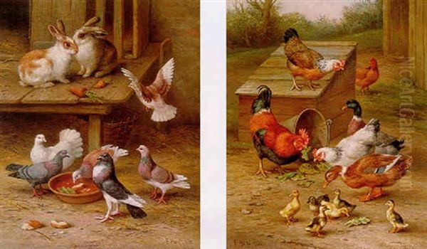 Rabbits And Pigeons Oil Painting by Edgar Hunt