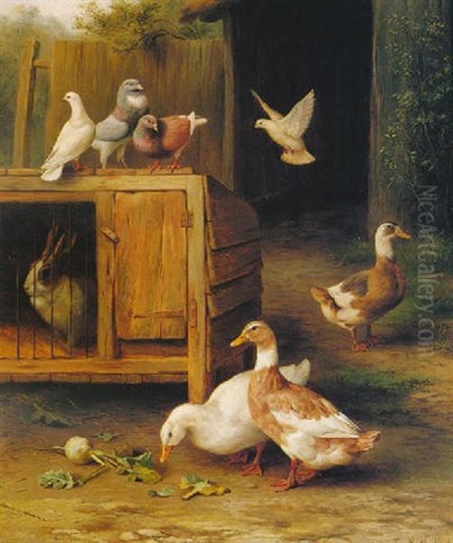 Pigeons, Ducks And A Rabbit by Edgar Hunt