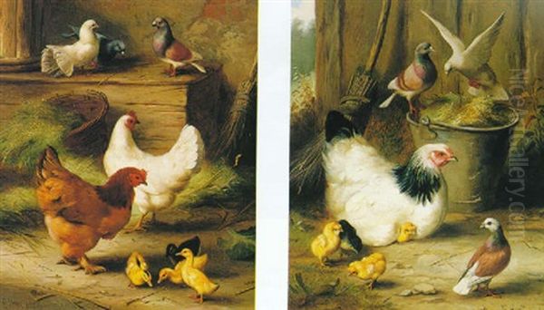 Chickens And Pigeons (+ Another; Pair) Oil Painting by Edgar Hunt