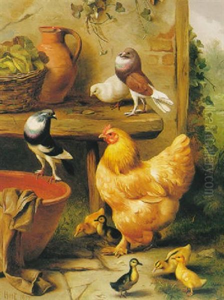 A Chicken With Duckling And Pigeons Oil Painting by Edgar Hunt