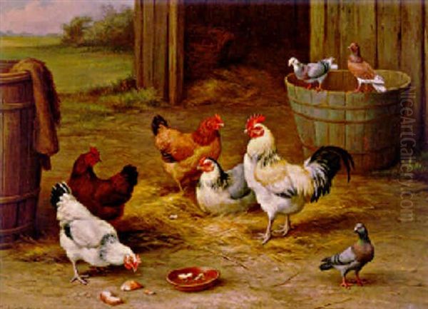 Cockerel, Hens And Pigeons Oil Painting by Edgar Hunt