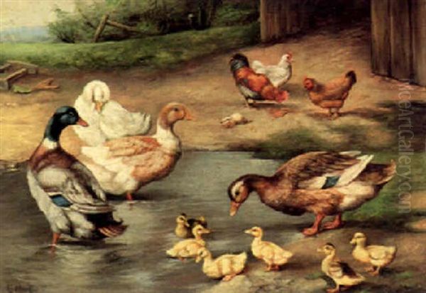 Ducks In A Watering Hole Oil Painting by Edgar Hunt