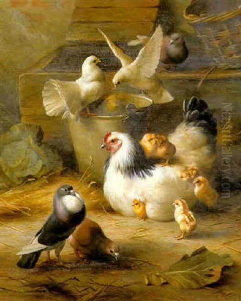 Hens, Chickens, Doves And Pigeons In A Farmyard Oil Painting by Edgar Hunt