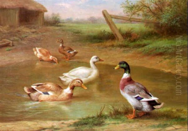 Ducks By A Pond by Edgar Hunt