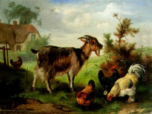 A Goat And Chickens Feeding Oil Painting by Edgar Hunt