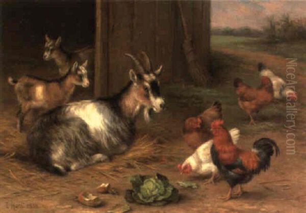 Goats And Chickens By A Barn Oil Painting by Edgar Hunt