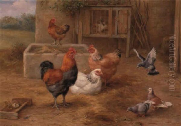 Chickens, Pigeons And A Rabbit In A Farmyard by Edgar Hunt