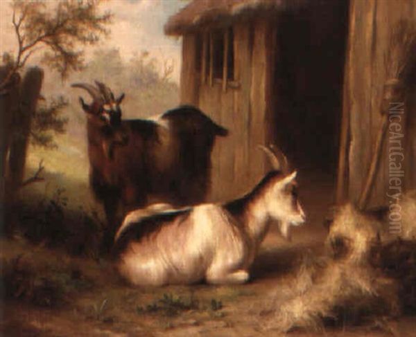 Goats Oil Painting by Edgar Hunt