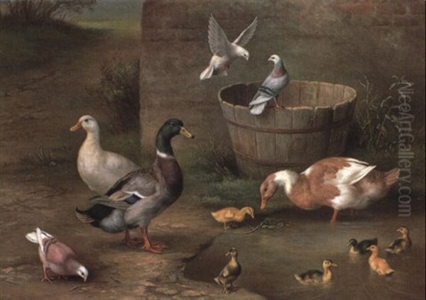 Ducks, Chicks And Pigeons In A Farmyard Oil Painting by Edgar Hunt