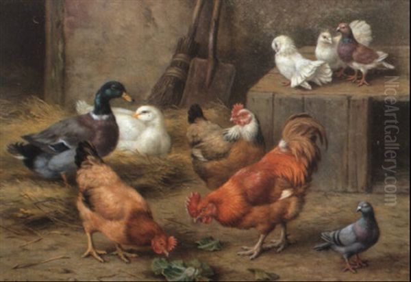 Chickens, Ducks, Doves And A Pigeon Oil Painting by Edgar Hunt