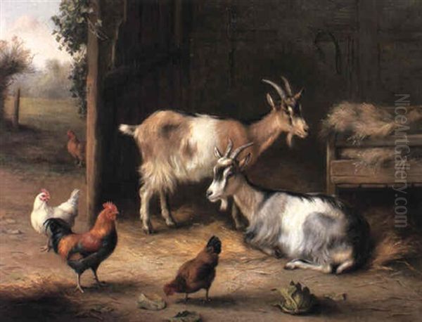 Goats And Chickens In A Barn Oil Painting by Edgar Hunt