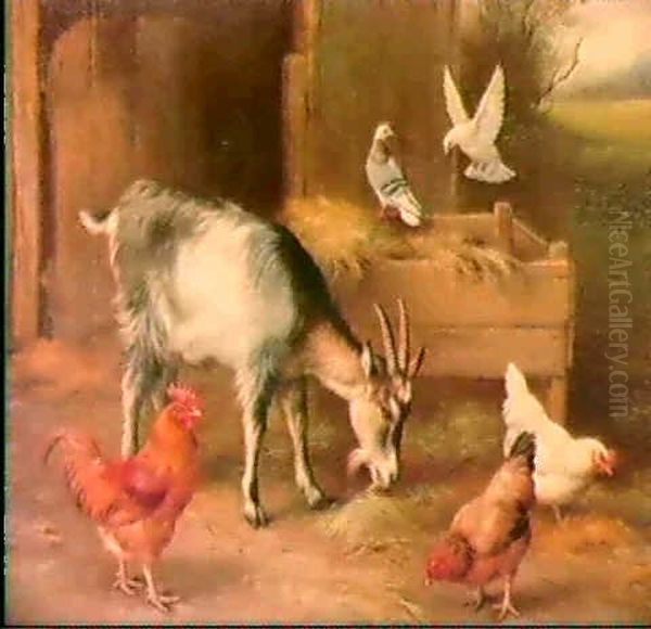 Goats, Doves And Poultry In A Farmyard Oil Painting by Edgar Hunt