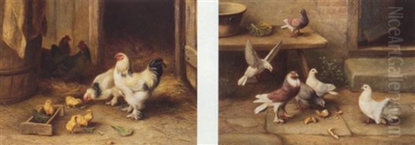 Chickens And Pigeons Oil Painting by Edgar Hunt