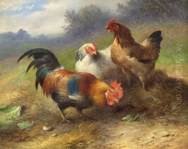 Chickens Oil Painting by Walter Hunt