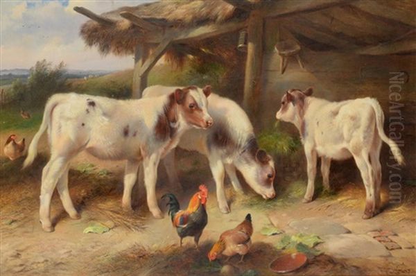 Calves Feeding At A Trough In A Stable Yard Oil Painting by Walter Hunt