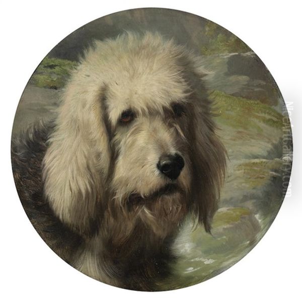 Swimmer, Portrait Of An Otterhound Oil Painting by Walter Hunt