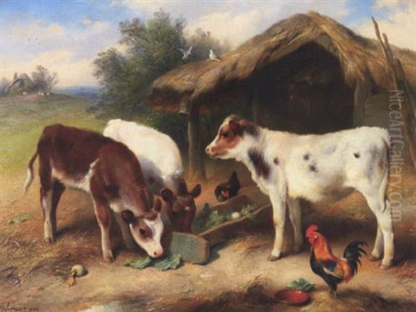 Calves At A Trough Oil Painting by Walter Hunt