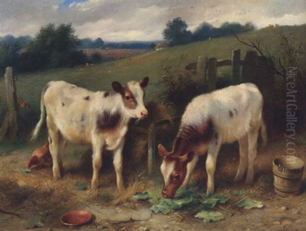 Calves At Feeding Time by Walter Hunt