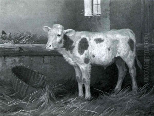 Calf In A Barn Oil Painting by Walter Hunt