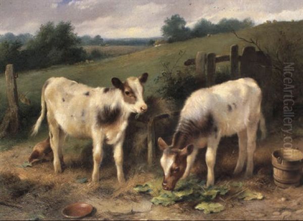 Calves At Feeding Time Oil Painting by Walter Hunt