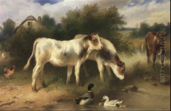 Calves By A Pond Oil Painting by Walter Hunt