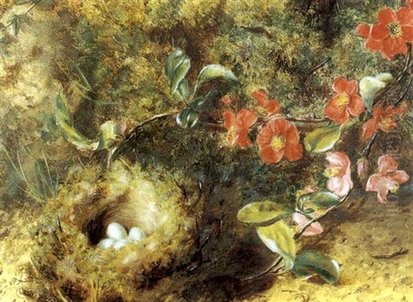 Nid D'oiseaux Parmi Des Fleurs (+ Nid D'oiseaux Et Branche D'arbre; Pair) Oil Painting by William Henry Hunt