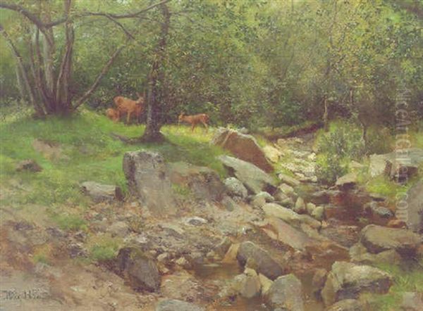 Deer By A Stream In A Forest Oil Painting by Max Hunten