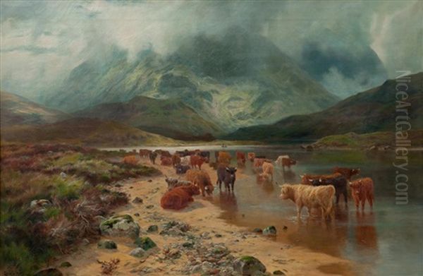 Cattle Watering In A Misty Highland Glen Oil Painting by Louis Bosworth Hurt