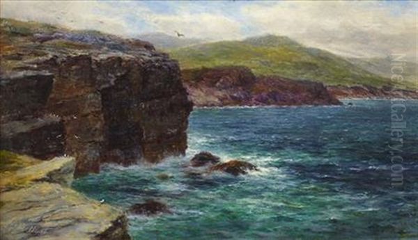 Cliffs Of Noss, Shetland Oil Painting by Louis Bosworth Hurt