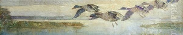 Mallards On Approach Oil Painting by Frederick William Hutchison