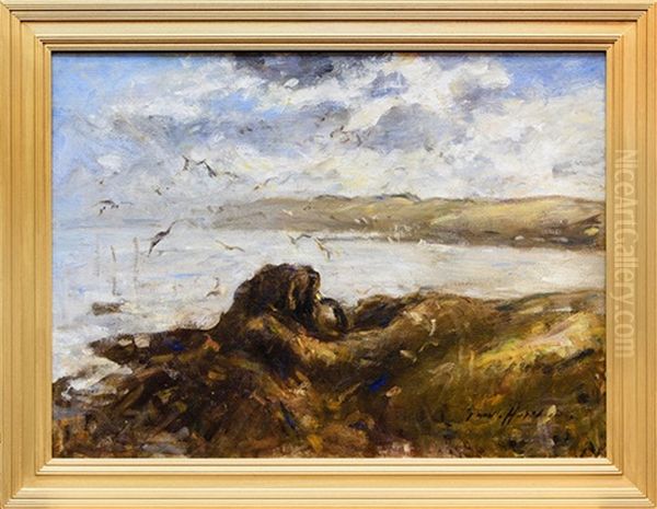 Gulls At St Abbs Oil Painting by Robert Gemmell Hutchison