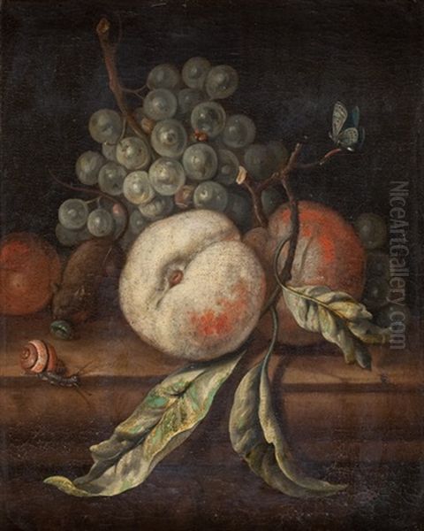 Stillleben Mit Fruchten, Maus, Schnecke, Schmetterling Und Insekten Oil Painting by Justus van Huysum the Elder