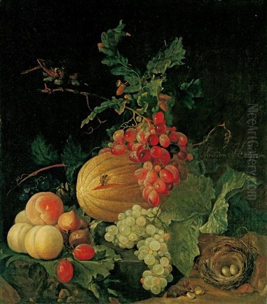 Stillleben Mit Fruchten Und Einem Vogelnest Oil Painting by Justus van Huysum the Elder