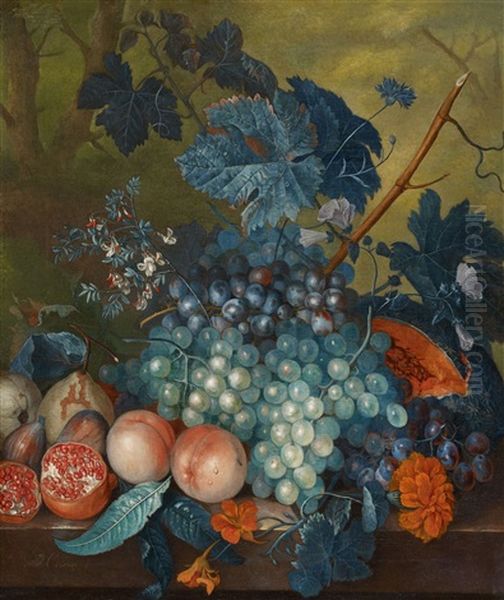 Fruit Still Life With Grapes, Peaches, Pears And Pomegranates Oil Painting by Jacob van Huysum