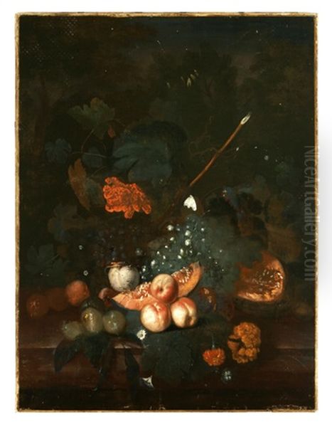 Still Life With Fruit Oil Painting by Jacob van Huysum