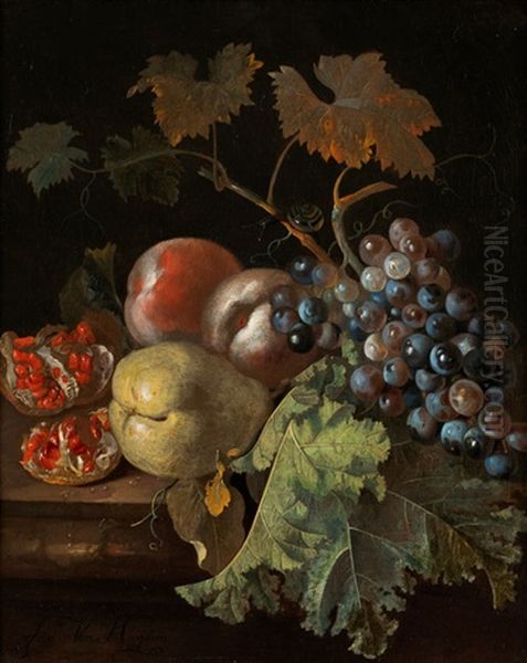 Stillleben Mit Trauben, Baumobst, Granatapfel Und Schnecke Oil Painting by Jan Van Huysum