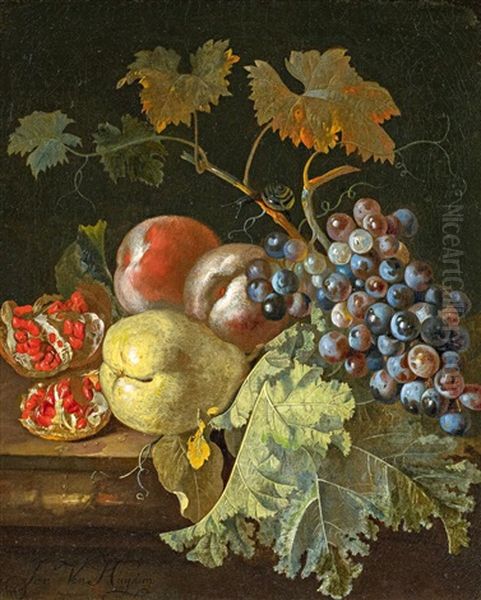 Stillleben Mit Trauben Und Granatapfel Oil Painting by Jan Van Huysum