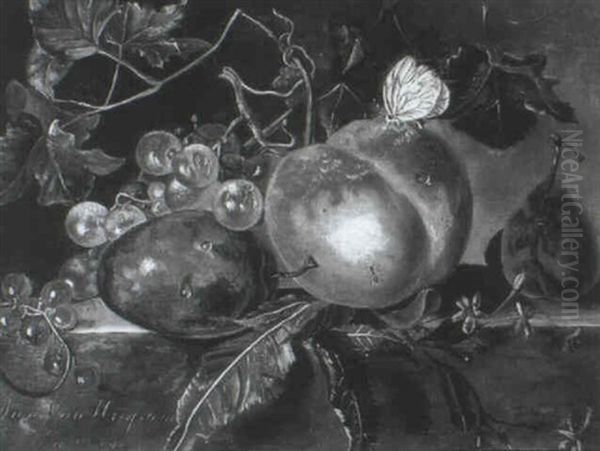 A Plum, Apple, Grapes And Red Currants On A Ledge Oil Painting by Jan Van Huysum