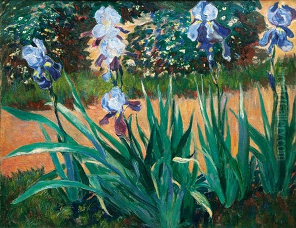 Blue Iris Oil Painting by Arthur Illies