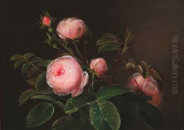 Pink Roses Oil Painting by Lucie Marie Ingeman