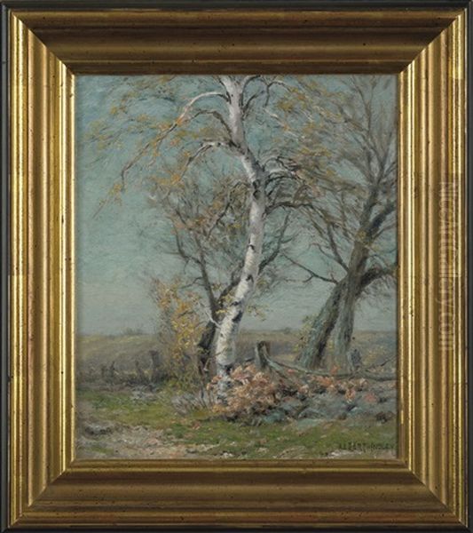 Birch By The Side Of A Road Oil Painting by Albert Babb Insley