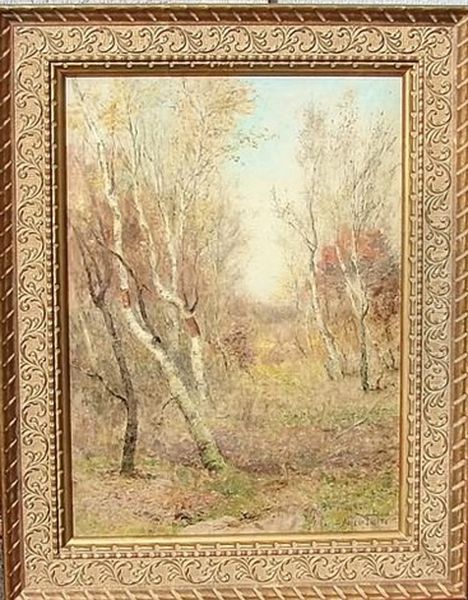 Birches In Autumn, Near South Salem, Ny Oil Painting by Albert Babb Insley