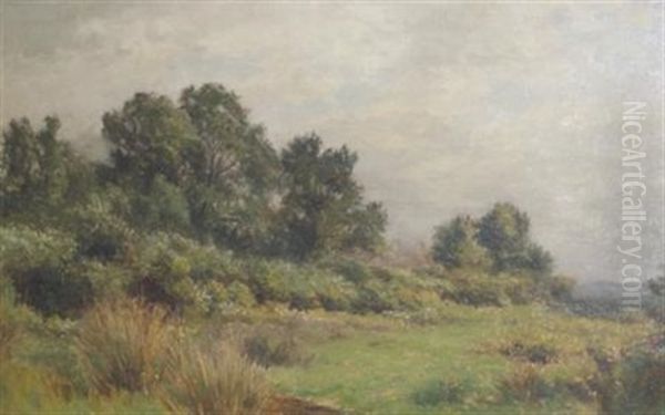 Verdant Landscape Oil Painting by Albert Babb Insley