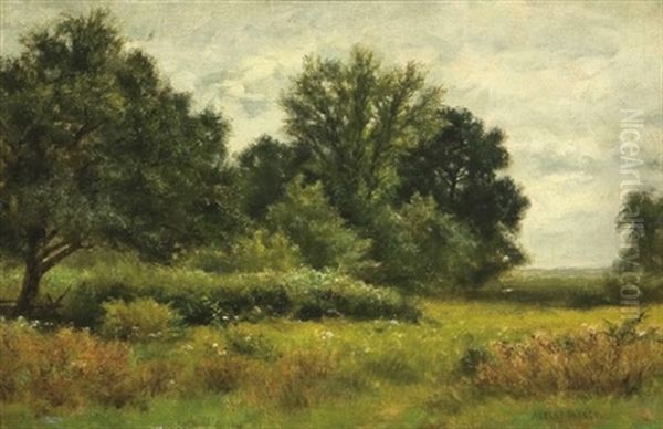 Summer Meadow Oil Painting by Albert Babb Insley