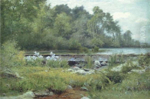 Rocky Stream Oil Painting by Albert Babb Insley