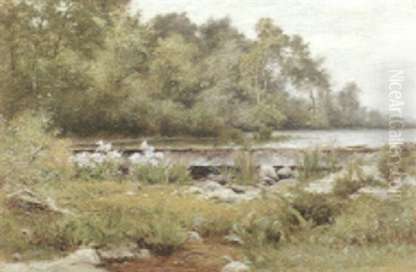 By The Pond In Summer Oil Painting by Albert Babb Insley