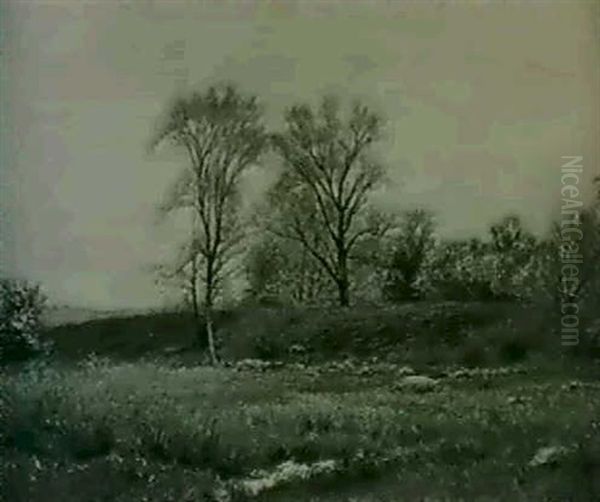 Grassland Oil Painting by Albert Babb Insley