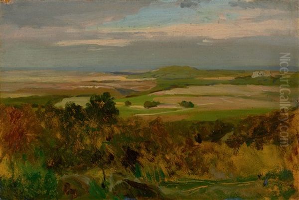 Landschaftsstudie Oil Painting by Carl Irmer