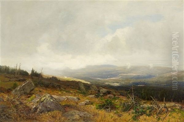 View From Mount Blocksberg Oil Painting by Carl Irmer